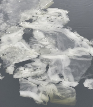 Book recommendation – “Sarek” av Ulf Kvensler